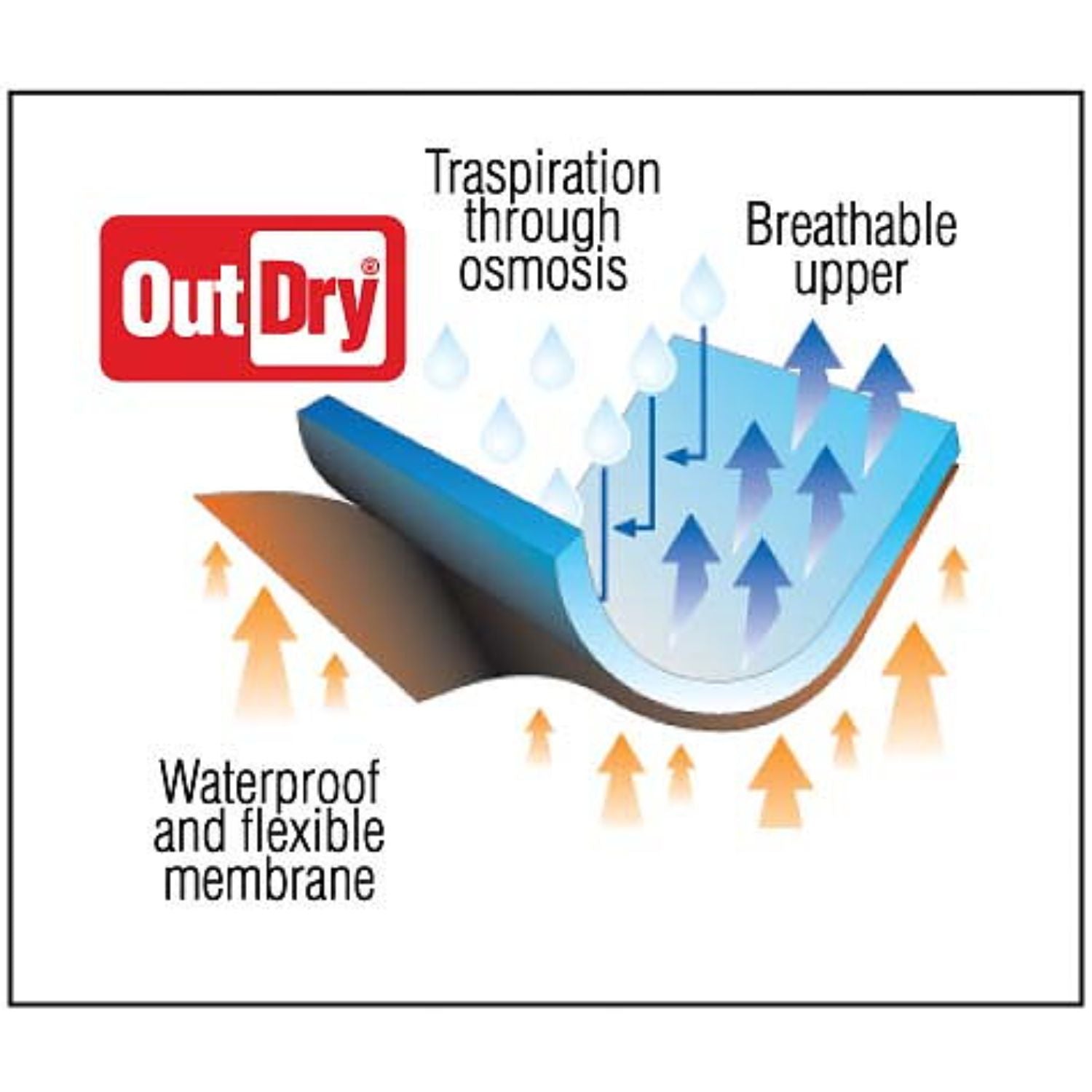 Lizard Spin Stövel Svart/Mörkgrå