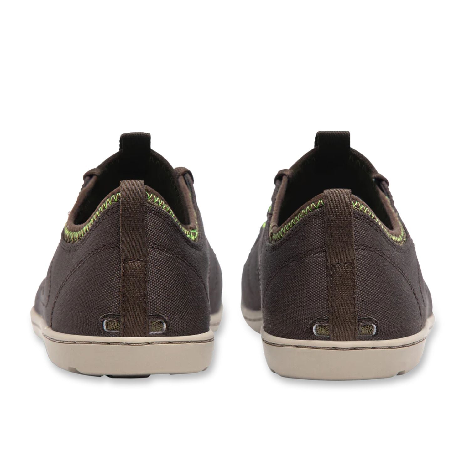 Astral Loyak Seglarsko, Mörkbrun