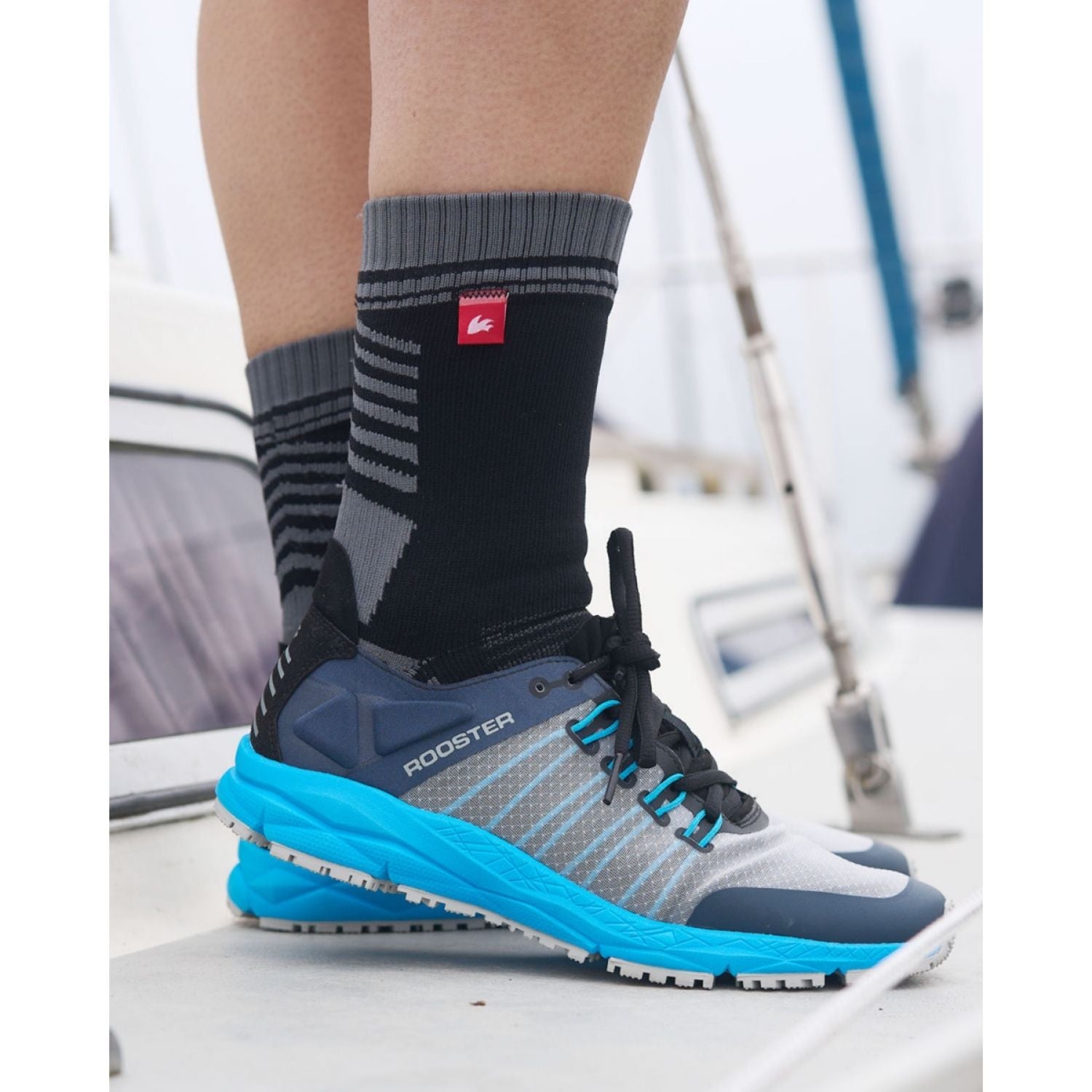 Rooster SB2 Seglarsko